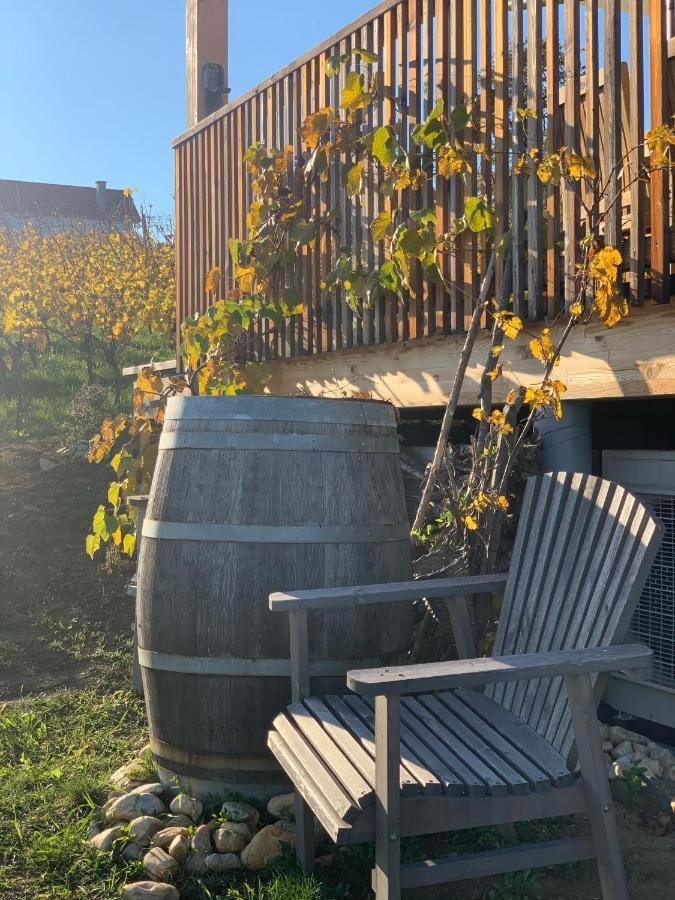 Vila Kellerstoeckl Weinblick I Und II Eisenberg an der Pinka Exteriér fotografie