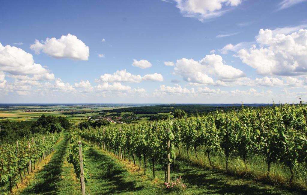 Vila Kellerstoeckl Weinblick I Und II Eisenberg an der Pinka Exteriér fotografie