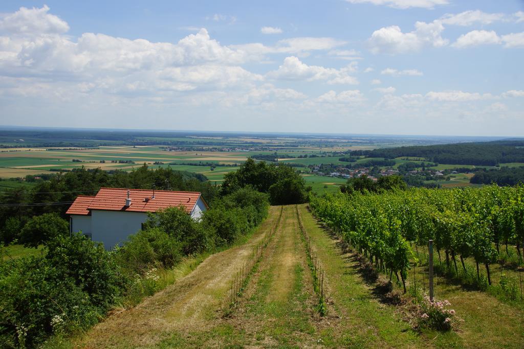 Vila Kellerstoeckl Weinblick I Und II Eisenberg an der Pinka Exteriér fotografie